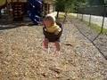 Cody Dane Kellar