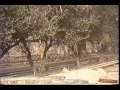 danes-in-afghanistan.html