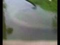 hurricane ike 77076