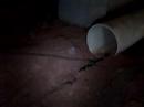 Bad Storm Drain