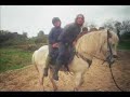 Stella