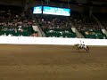 kristin and cody-rescue race on easy kristin and cody-rescue race on easy