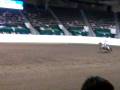 videos de kristin and cody-rescue race on easy