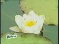 Terry Hearn: Carp Fishing Terry Hearn: Carp Fishing