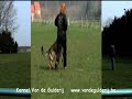SchH 1 B Dynamite von Heksterhorst