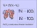 Clinical Application of Blood Gases, Part I: CO2 Clinical Application of Blood Gases, Part I: CO2