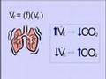 Clinical Application of Blood Gases, Part I: CO2