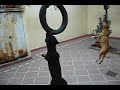 Ner�n y uma