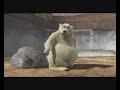 Polar Bears - The Bamboo Group
