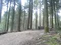 haldon forest doubles,