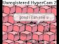 Vital vipers igloo