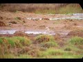 LRP Colyford Common LRP Colyford Common