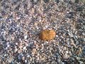 A walk down to Thorpeness Beach in Suffolk