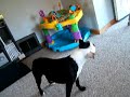 tornado siren sucks