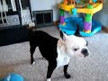 tornado siren sucks