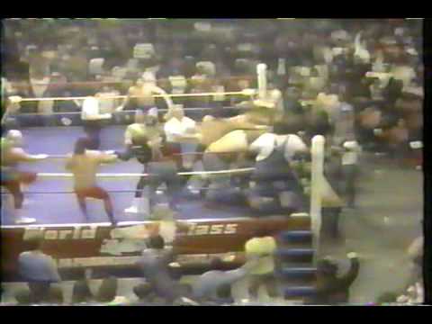 WCCW 1988 Von Erichs vs Freebirds Feud Recap