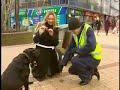 Just for laughs gags - Pooper Scooper
