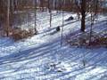 100_4715.mov
