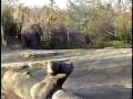 Elephants Elephants