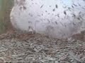 Dry Ice Bombs