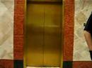 Morons in the elevator Part 33 Morons in the elevator Part 33