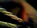 dongi rope dongi rope