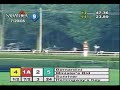 Bernardini - 2006 Jim Dandy Stakes Bernardini - 2006 Jim Dandy Stakes