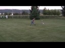 Michi und Kaya - Discdogging Michi und Kaya - Discdogging