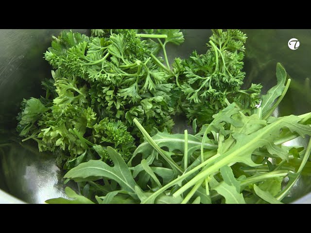 Rucola - Walnuss - Pesto