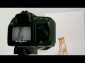 ?DiGi??????146?Cover Story?SONY A350 Live View?????