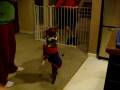Rocky walks2
