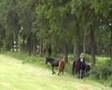videos de Lits+Lauwers044 Lytse-Wei01