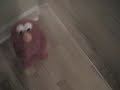 when elmo falls  episode 1 