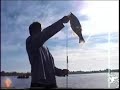Largemouth Bass fishing in Alabama Largemouth Bass fishing in Alabama