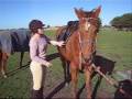 Mounting & dismounting.