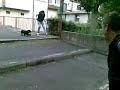 sampo se la dà a gambe!!
