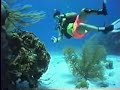 SCUBA SCUBA