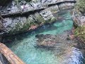 Les gorges de Vintgar