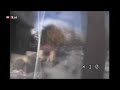 Earthquake in Turkey caught on tape!