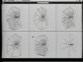 Designoid Objects