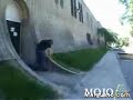 Idiot of the year 1 Idiot of the year 1