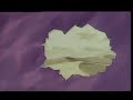 Dbz - NEVER SCARED