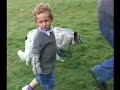 English National Sheepdog Trials 2007 Sponsors - Gilpa Foods