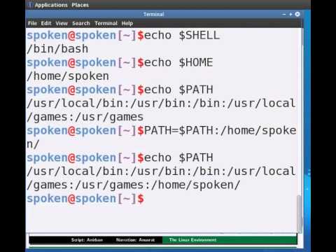 how to environment variable in linux