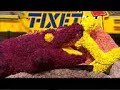 Bloemencorso 2008 TTH