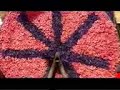 Bloemencorso 2008 TTH
