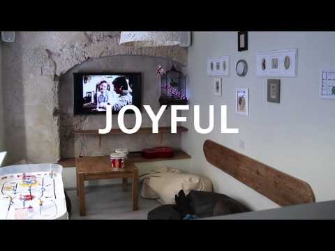 Video of Seagulls Garret Hostel