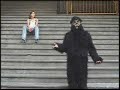 o macaco