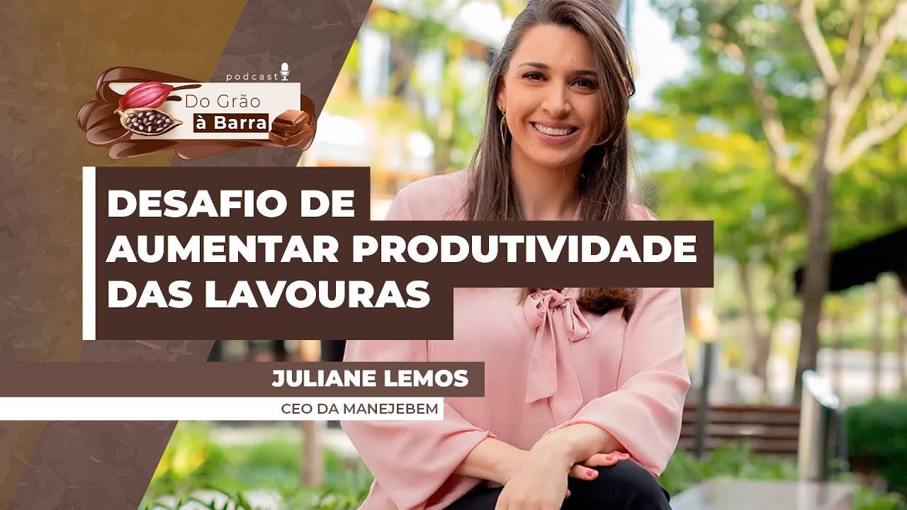 Começa nova safra de cacau e país tem o desafio de aumentar produtividade das lavouras