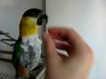 videos de JoJo says 